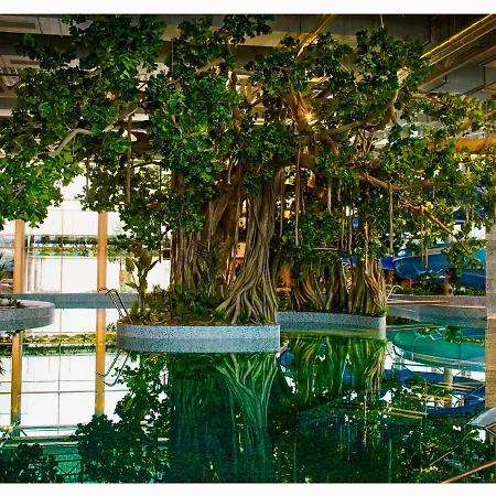 فندق Amazonia تيميشورا