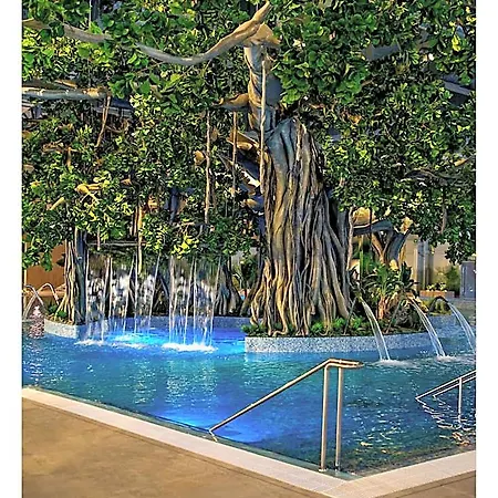 Amazonia 4*