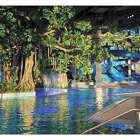 Amazonia فندق تيميشورا