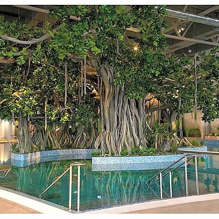 Amazonia 4* Τιμισοάρα