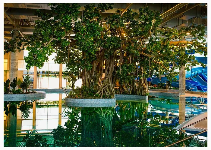 فندق Amazonia تيميشورا