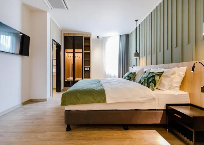 Amazonia Hotell Timişoara