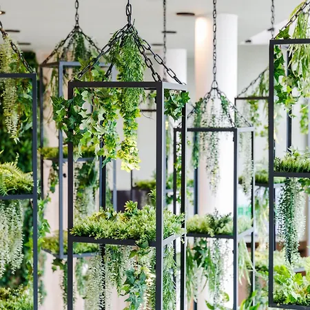Amazonia Hotel Timisoara